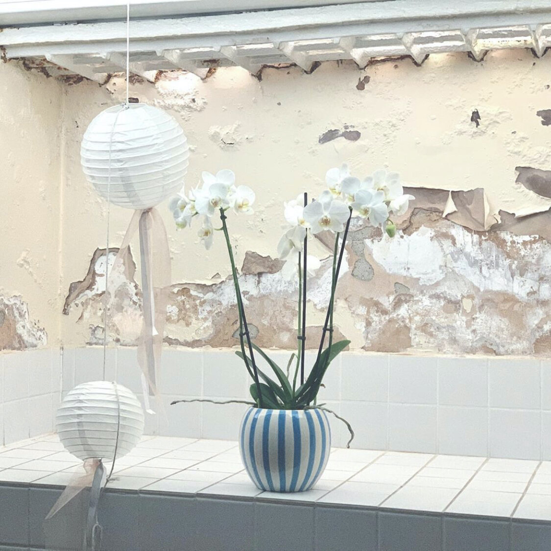 Personal photograph 44 of 56