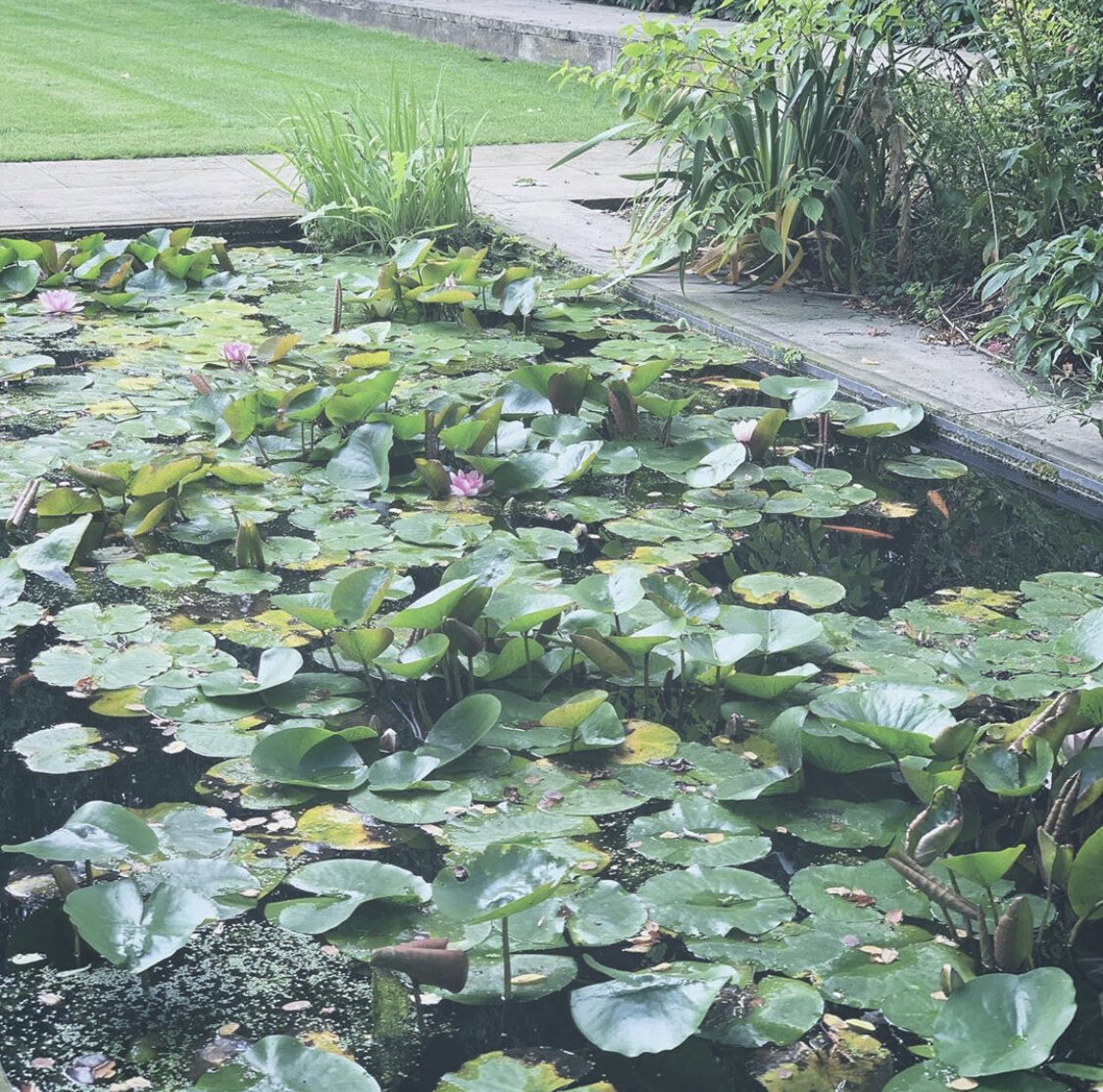 Personal photograph 47 of 56